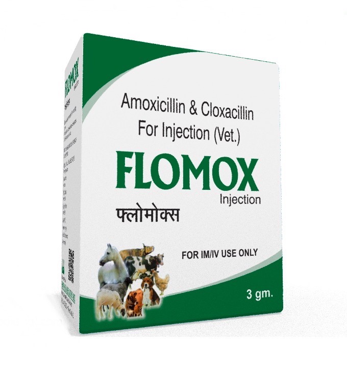 Veterinary Amoxicillin Cloxacillin 3 gm Injection