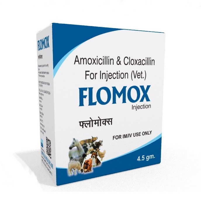 Veterinary Amoxicillin Cloxacillin 4.5 gm Injection