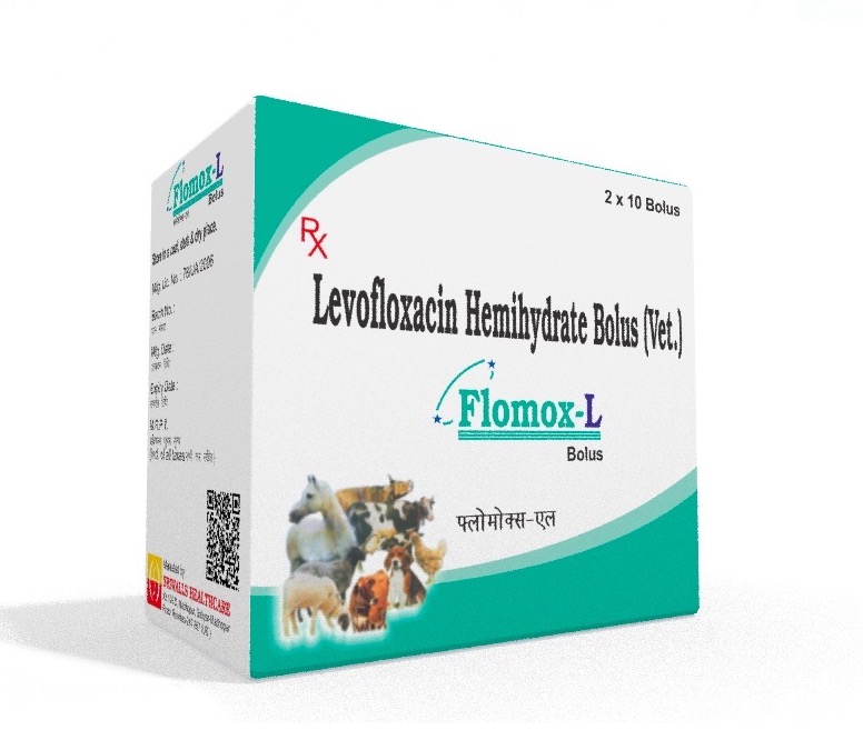 Veterinary Levofloxacin 2 gm Bolus