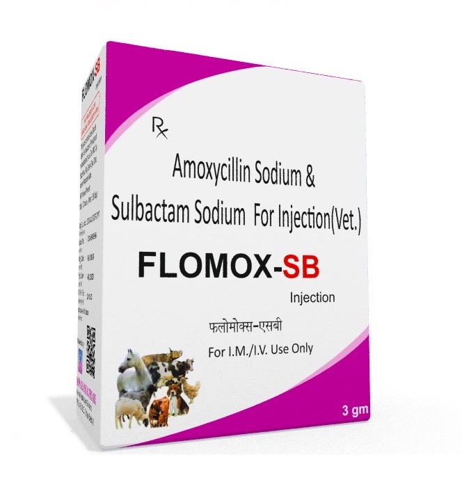 Veterinary Amoxicillin Sulbactam 3 gm Injection