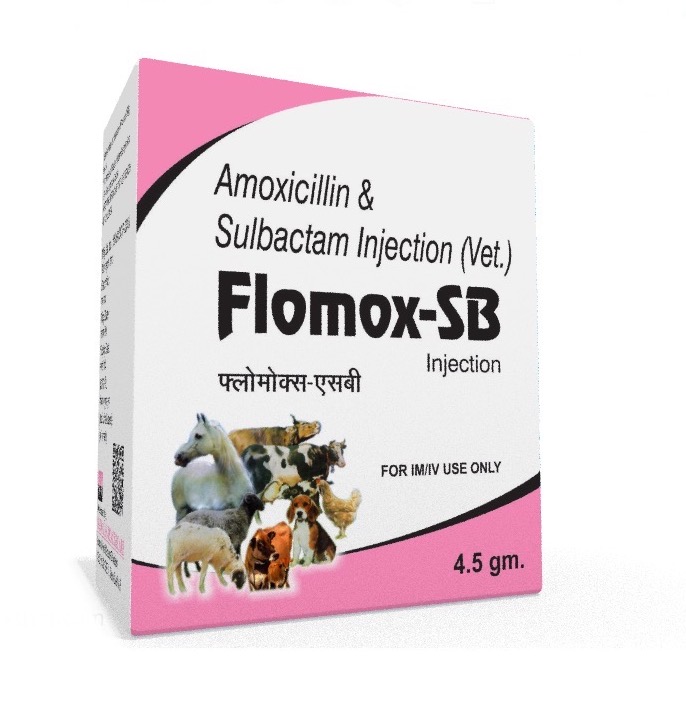 Veterinary Amoxicillin Sulbactam 4.5 gm Injection