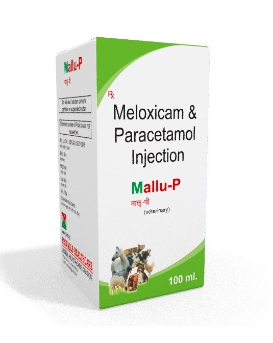 Veterinary Meloxicam & Paracetamol 100 ml Injection
