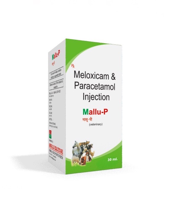 Veterinary Meloxicam & Paracetamol 30 ml Injection