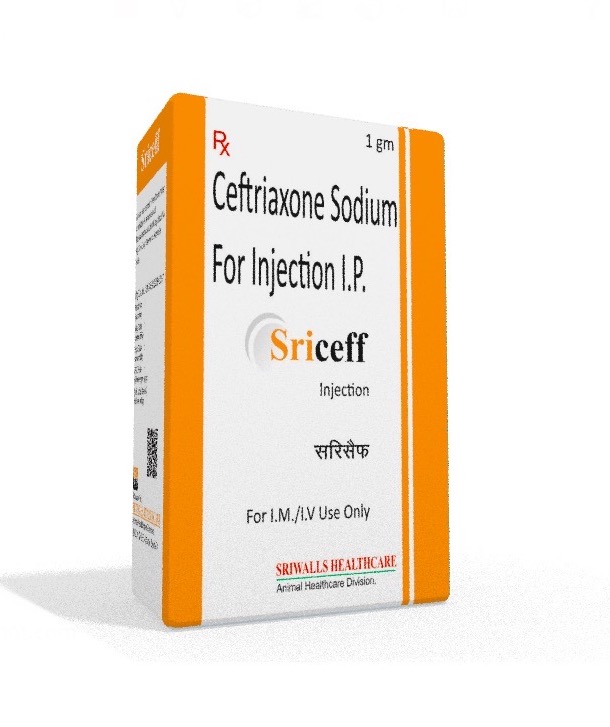 Veterinary Ceftriaxone 1 gm Injection