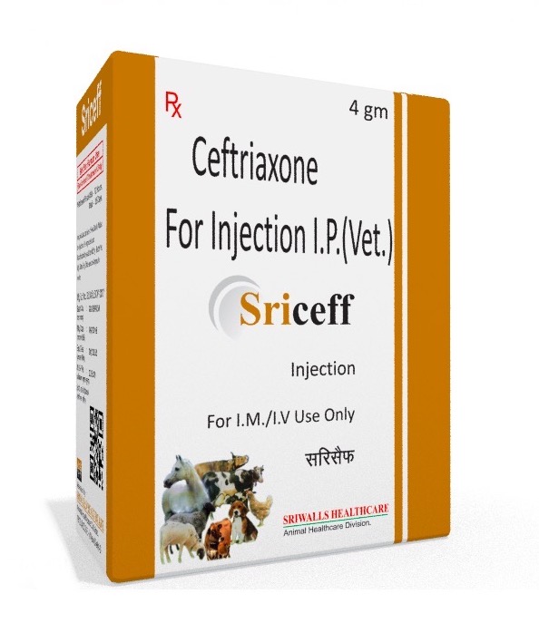 Veterinary Ceftriaxone 4 gm Injection