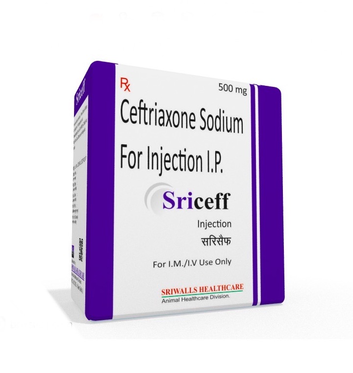 Veterinary Ceftriaxone 500 mg Injection