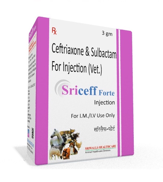 Veterinary Ceftriaxone Sulbactam 3 gm Injection