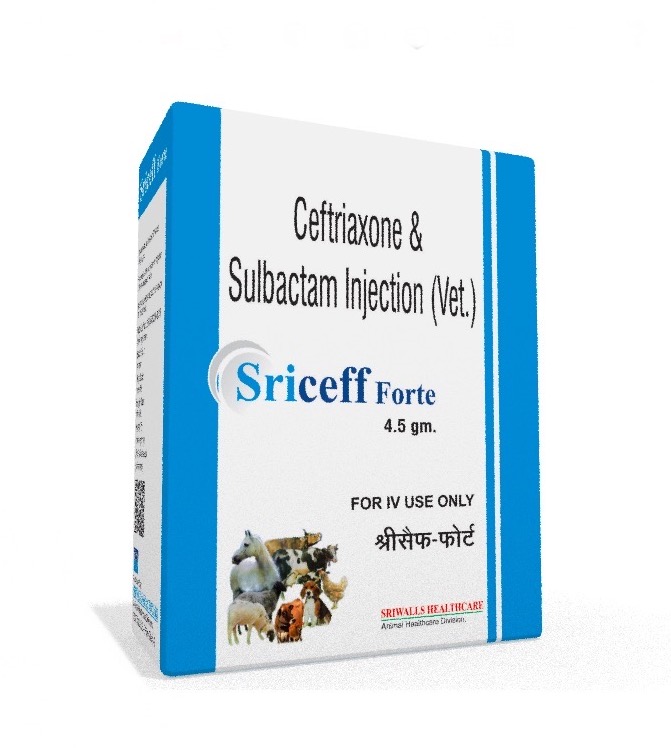 Veterinary Ceftriaxone Sulbactam 4.5 gm Injection