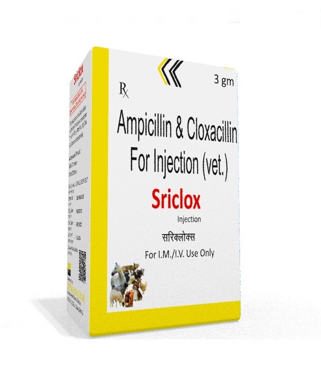 Veterinary Ampicillin Cloxacillin 3 gm Injection