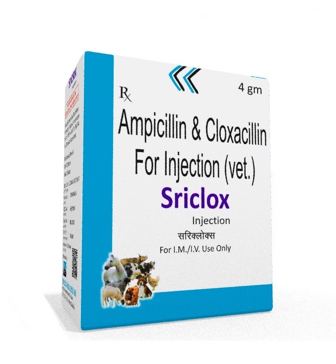 Veterinary Ampicillin Cloxacillin 4 gm Injection